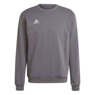 Adidas collegepusero Entrada 22 Sweatshirt H57479