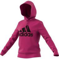 Adidas huppari Big Logo Hoodie