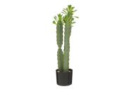 4Living Tyräkki kaktus 70 cm