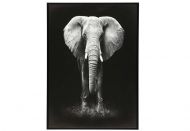 4Living taulu Eläimet 50x70 cm Elefantti