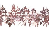 Weiste kapea lehtipunos roosa 90 mm x 2 m
