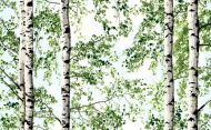Vallila Vihtapuu kangas 150 cm vihreä