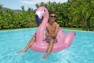 Bestway uimalelu Luxury flamingo 153x143 cm